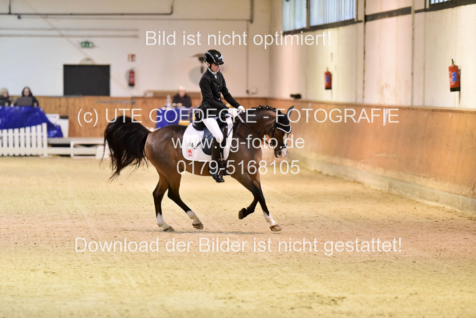 Sanders,-Leonie---Steverheiders-Wolfsblut_11.jpg