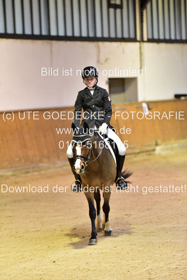 Sanders,-Leonie---Steverheiders-Wolfsblut_13.jpg