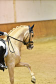 Heins,-Lena-Louise---Casino-Royal_05.jpg