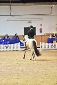 Pony Dressur KL L Tr
