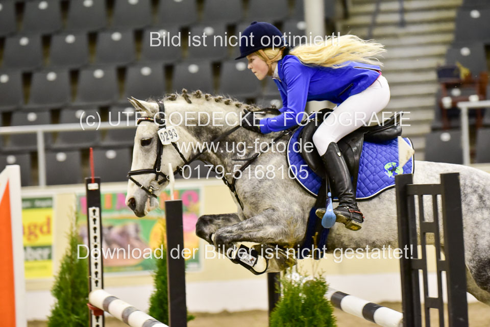 Thümmel,-Emily---Gold-Rosi_2.jpg