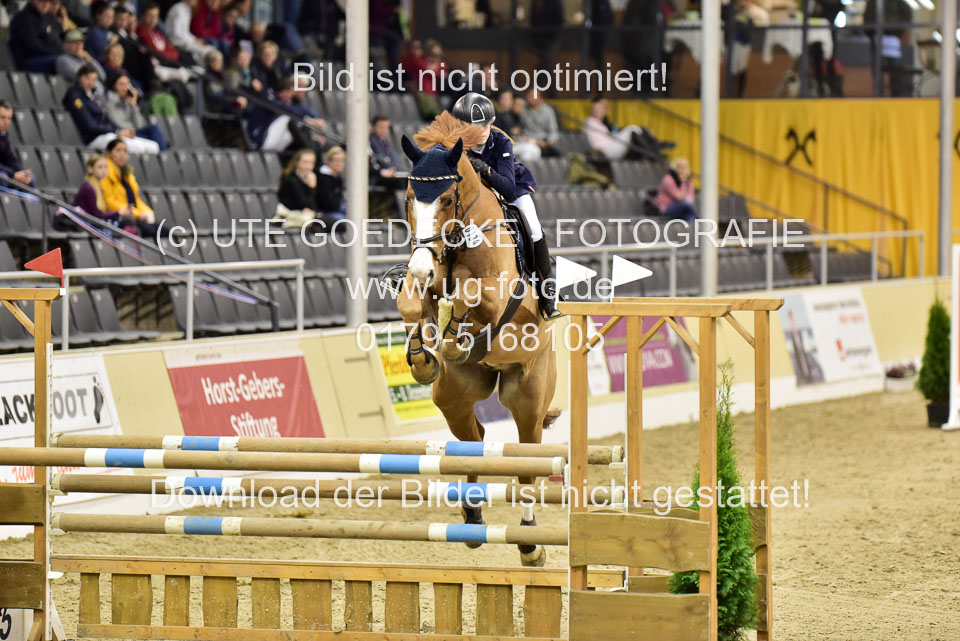 Holsten,-Sina-Marie---Concas_2.jpg