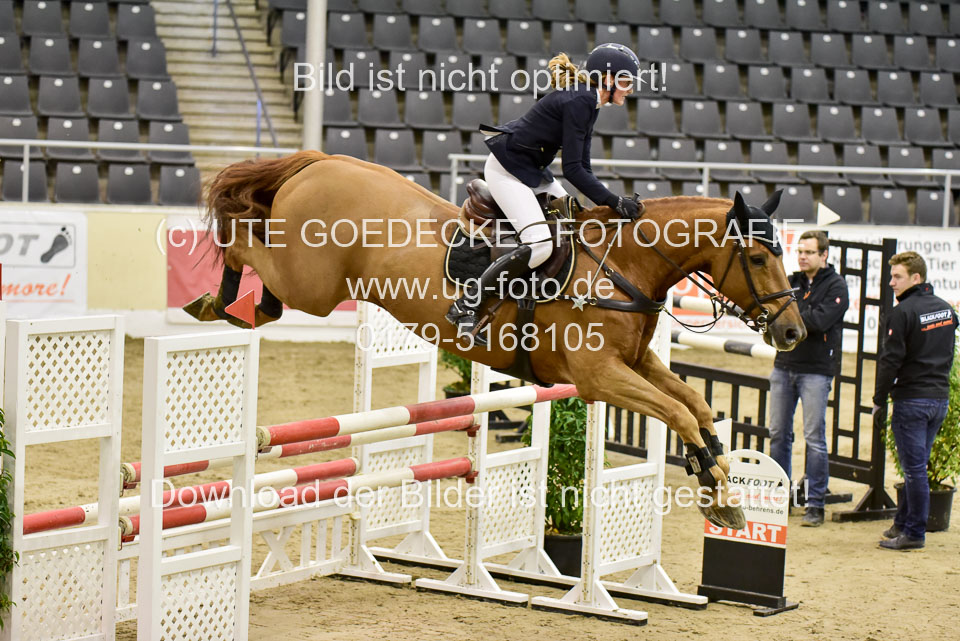 Asmussen,-Malin---Rocky-Balboa_7.jpg