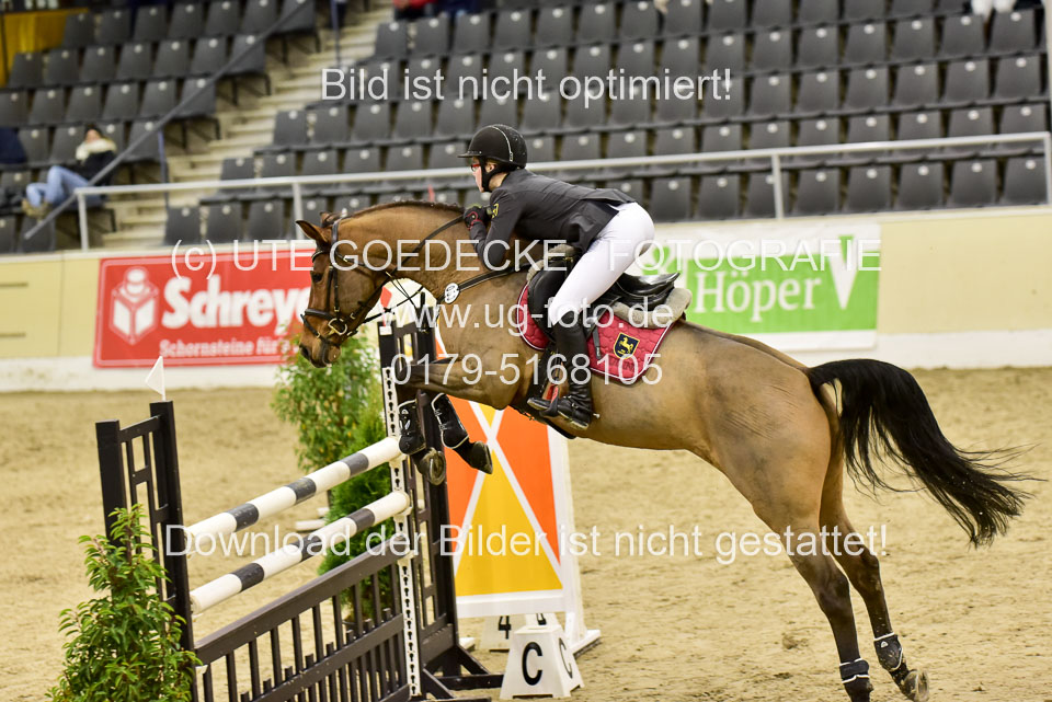 Schreyer,-Hanna---Carpani_09.jpg