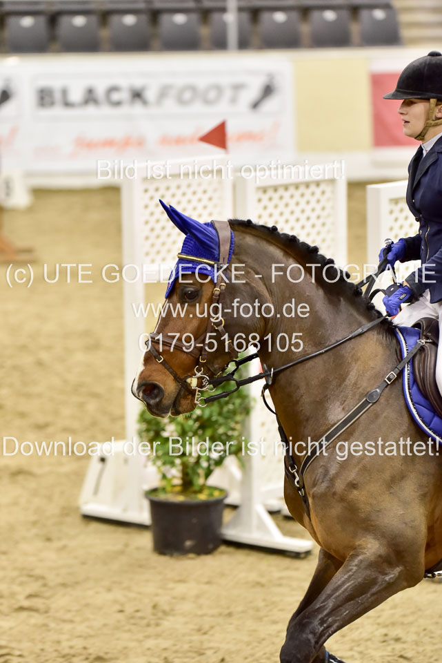 Seemann,-Josephine---Graf-Grande_3.jpg