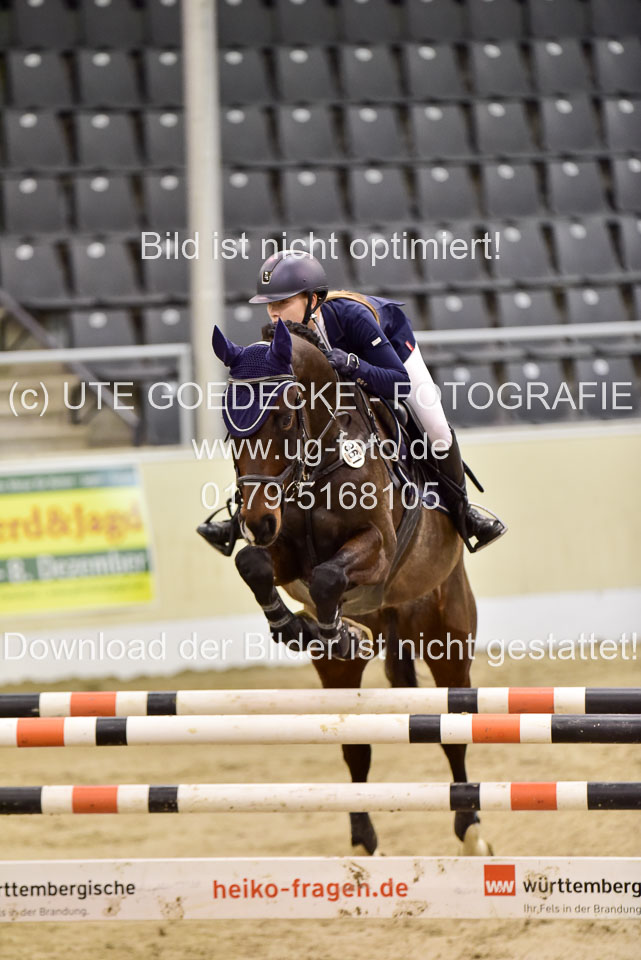 Weinkopf,-Maja---Quaids-Crazy-_5.jpg