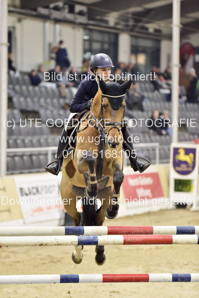 Pieper,-Emelie---Royal-Dream-_1.jpg