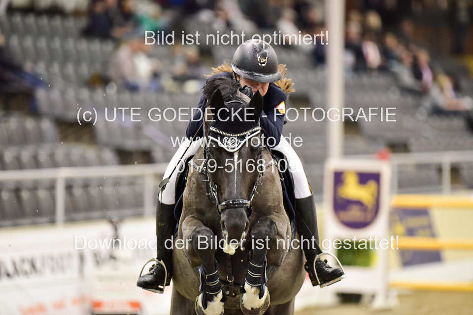 Visscher,-Janne---Contessa_1.jpg