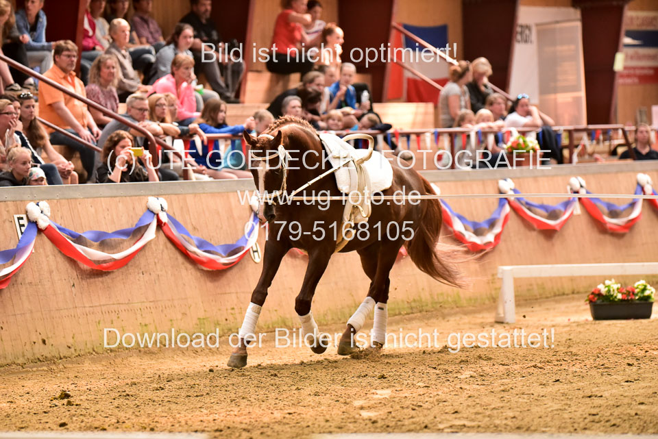 23062019--Doppel_44.jpg