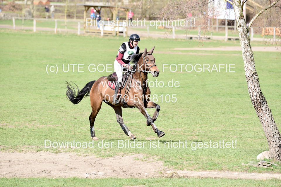 31-3-2019--Luhmühlen-CIC--_008.jpg