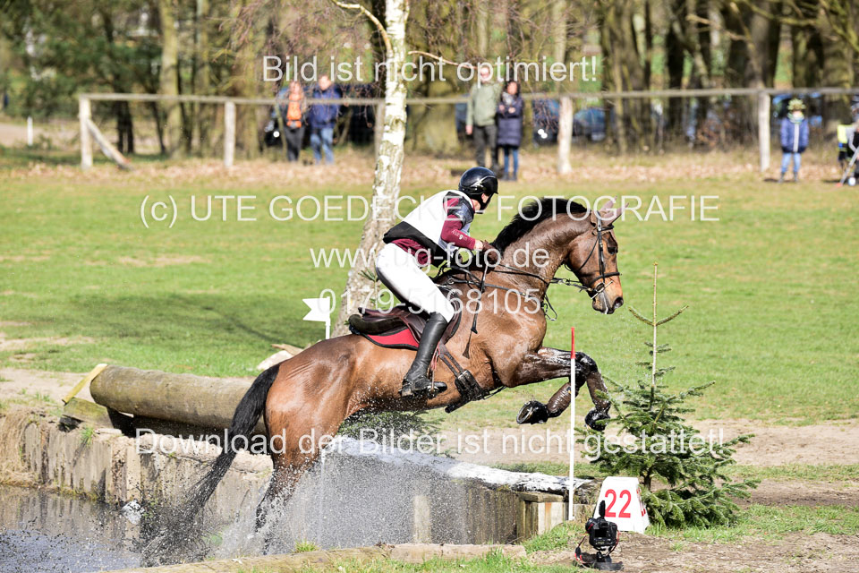 31-3-2019--Luhmühlen-CIC--_011.jpg