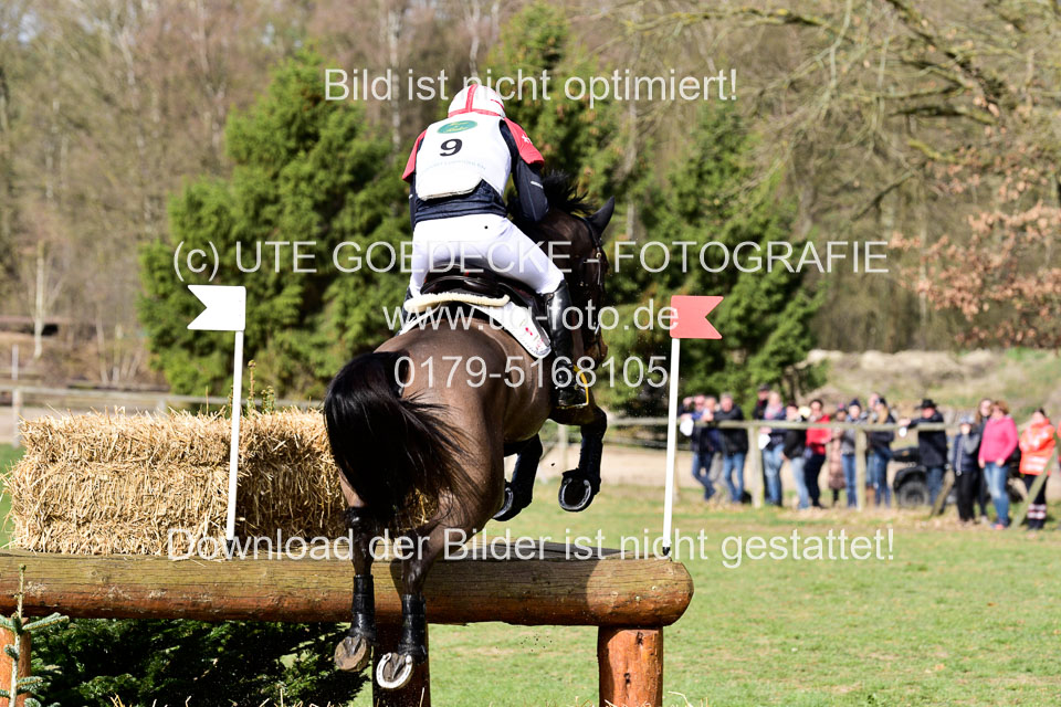 31-3-2019--Luhmühlen-CIC--_015.jpg