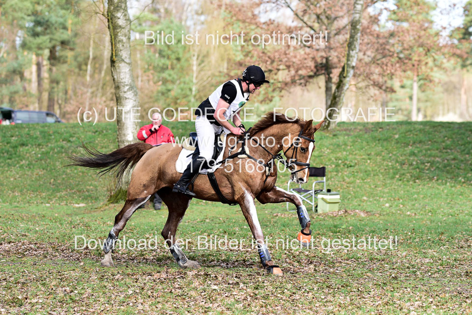 31-3-2019--Luhmühlen-CIC--_021.jpg