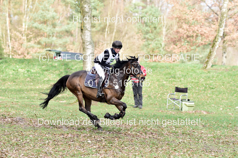 31-3-2019--Luhmühlen-CIC--_065.jpg