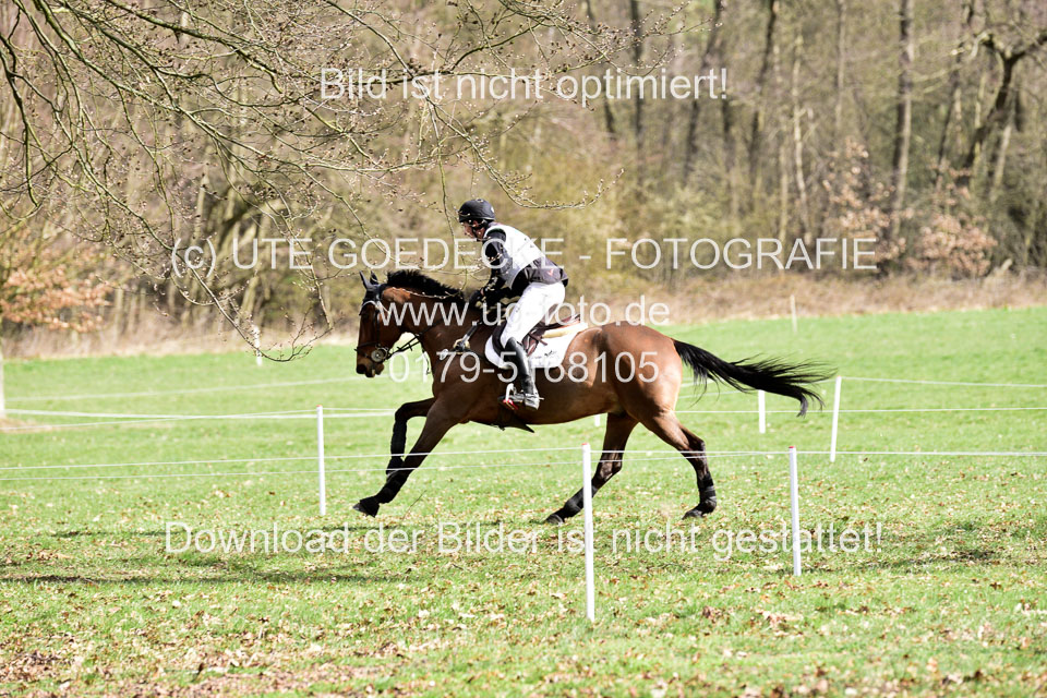 31-3-2019--Luhmühlen-CIC--_070.jpg