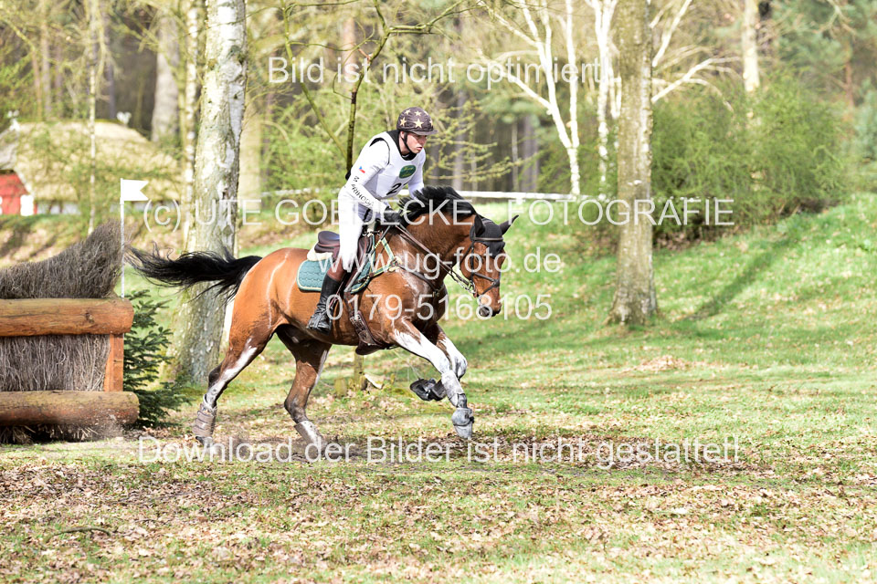 31-3-2019--Luhmühlen-CIC--_098.jpg