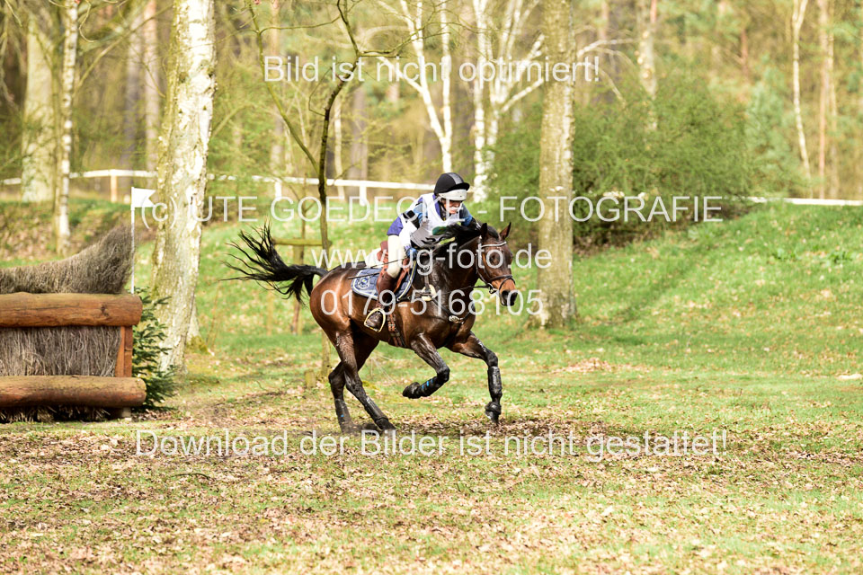 31-3-2019--Luhmühlen-CIC--_103.jpg