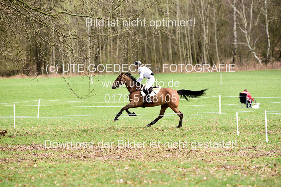 31-3-2019--Luhmühlen-CIC--_117.jpg