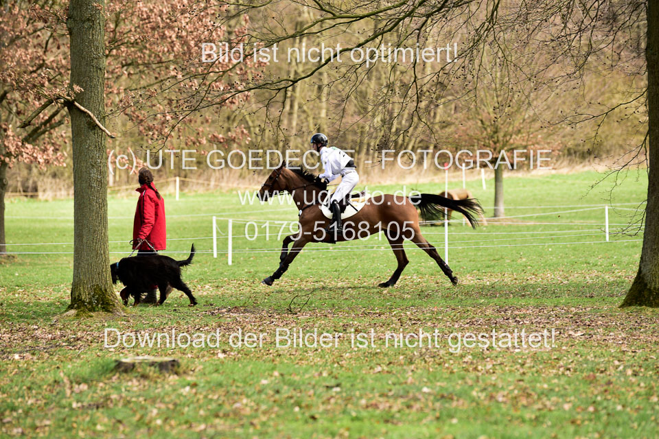 31-3-2019--Luhmühlen-CIC--_118.jpg