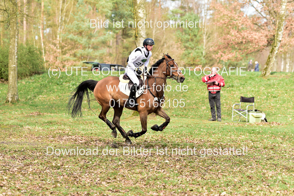 31-3-2019--Luhmühlen-CIC--_124.jpg