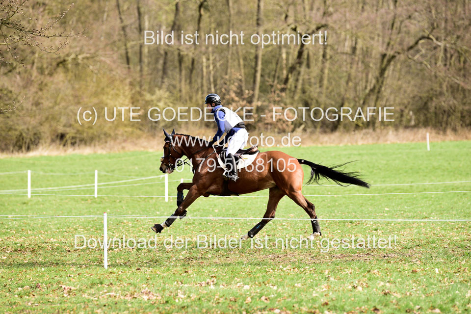 31-3-2019--Luhmühlen-CIC--_146.jpg