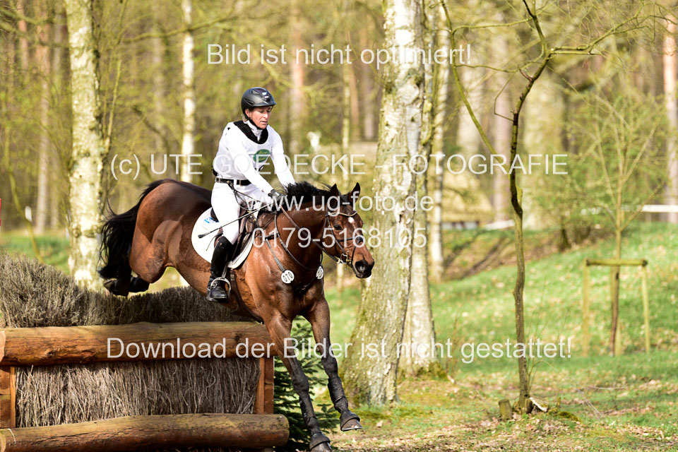 31-3-2019--Luhmühlen-CIC--_157.jpg