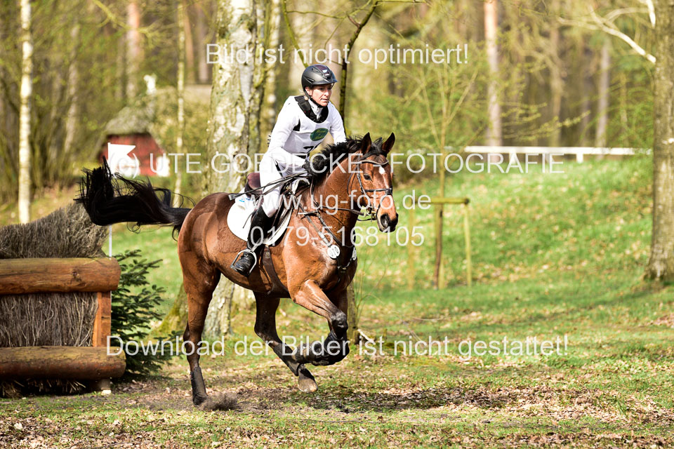 31-3-2019--Luhmühlen-CIC--_158.jpg
