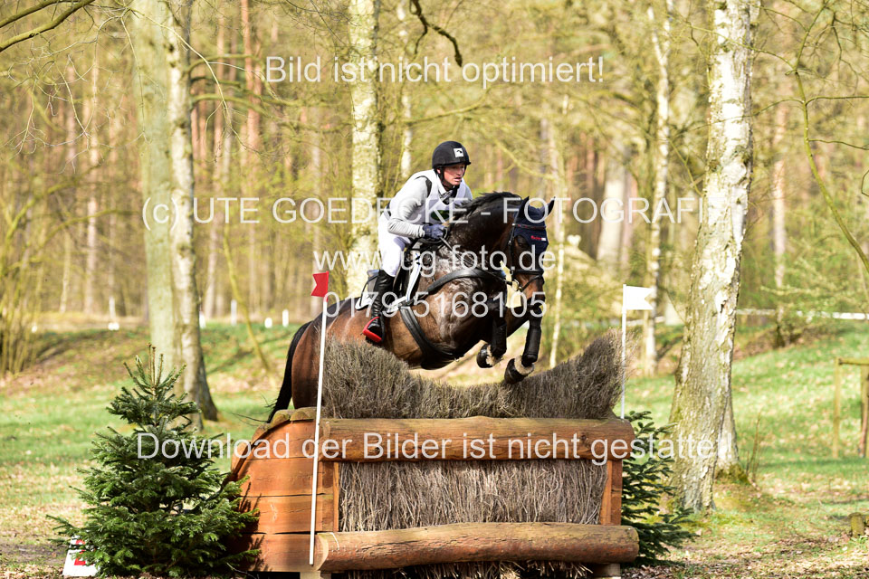 31-3-2019--Luhmühlen-CIC--_175.jpg