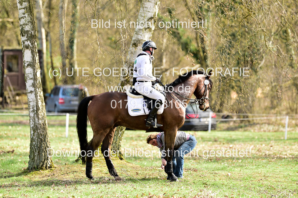 31-3-2019--Luhmühlen-CIC--_183.jpg