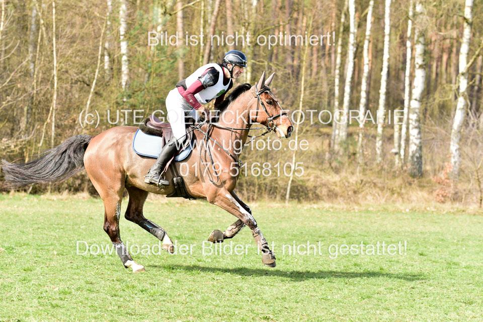 31-3-2019--Luhmühlen-CIC--_201.jpg