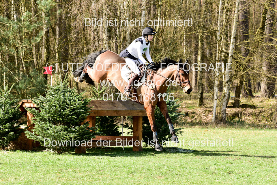 31-3-2019--Luhmühlen-CIC--_205.jpg
