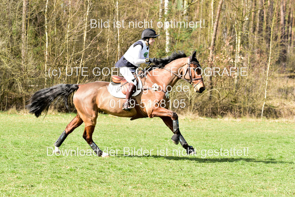 31-3-2019--Luhmühlen-CIC--_206.jpg