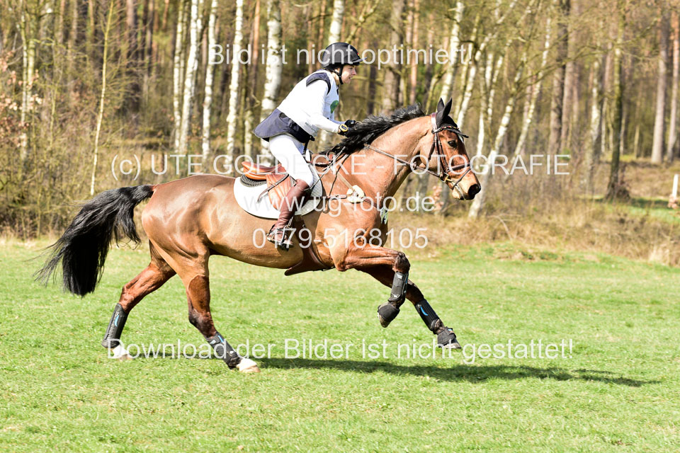 31-3-2019--Luhmühlen-CIC--_207.jpg