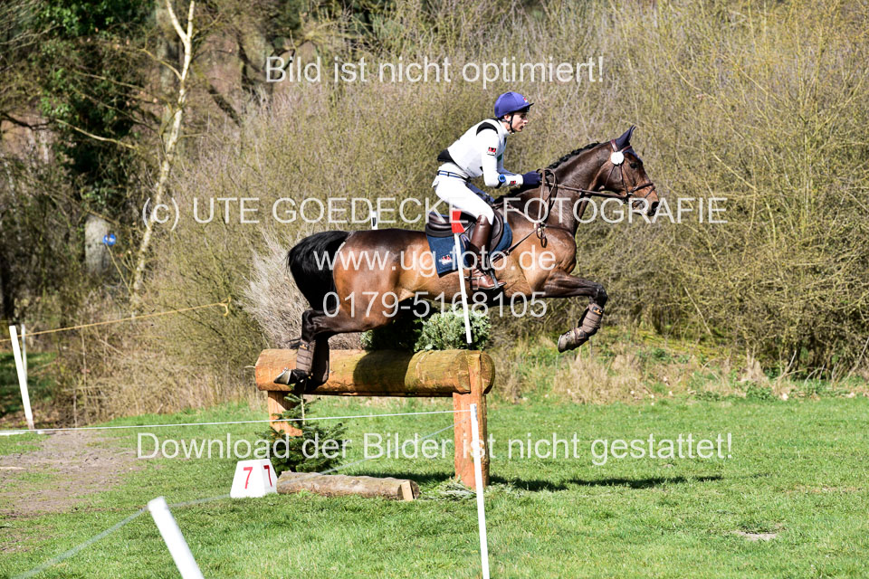 31-3-2019--Luhmühlen-CIC--_217.jpg