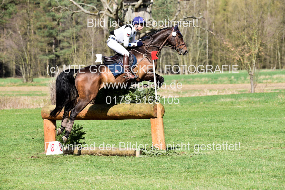 31-3-2019--Luhmühlen-CIC--_219.jpg