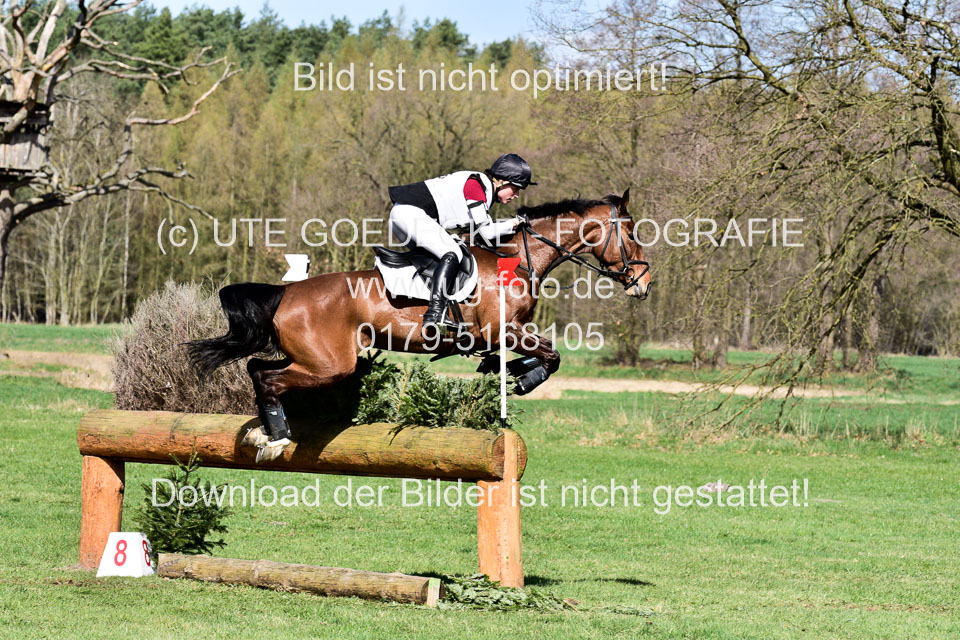 31-3-2019--Luhmühlen-CIC--_226.jpg