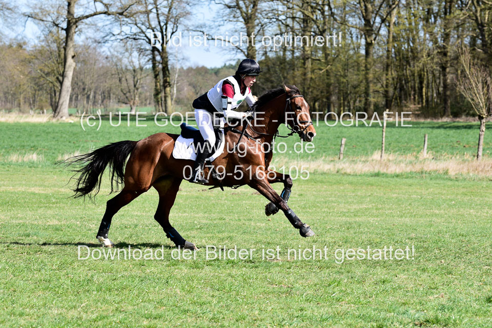 31-3-2019--Luhmühlen-CIC--_228.jpg