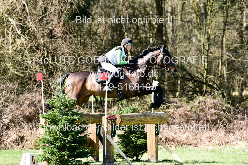 31-3-2019--Luhmühlen-CIC--_232.jpg