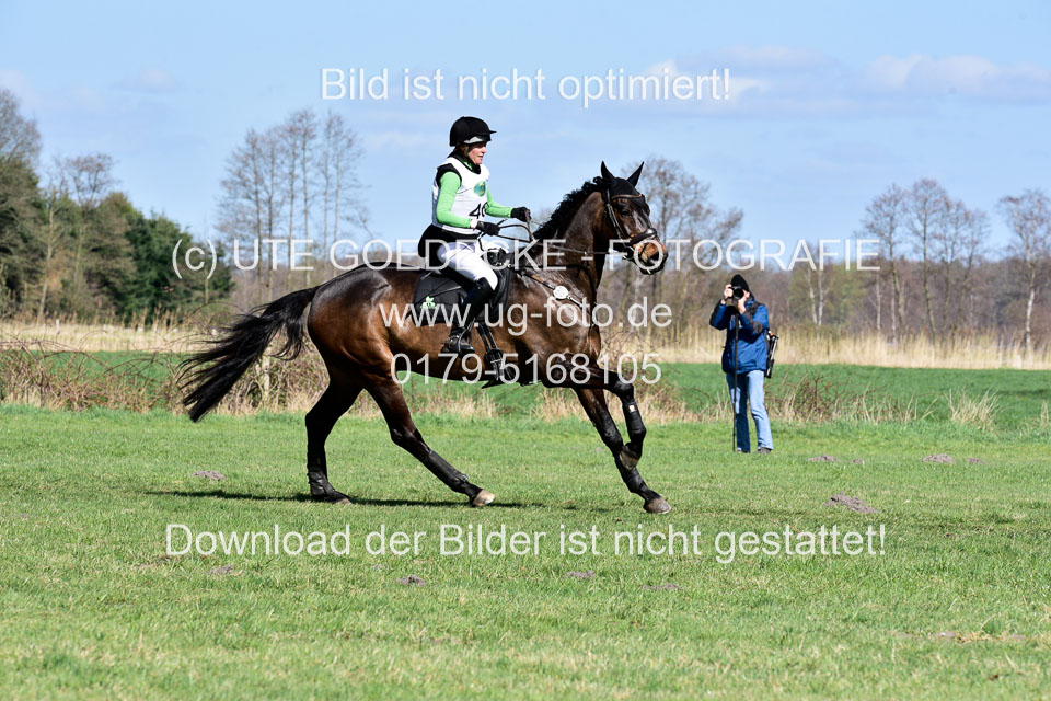 31-3-2019--Luhmühlen-CIC--_237.jpg