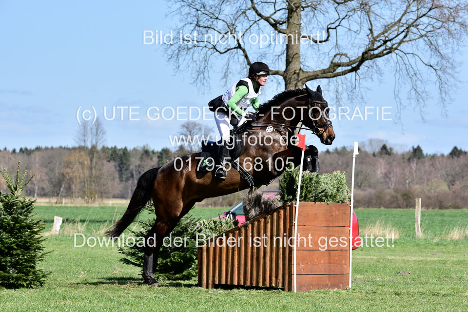 31-3-2019--Luhmühlen-CIC--_238.jpg