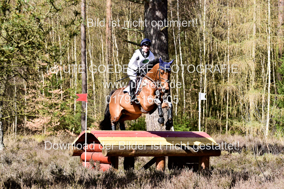 31-3-2019--Luhmühlen-CIC--_243.jpg