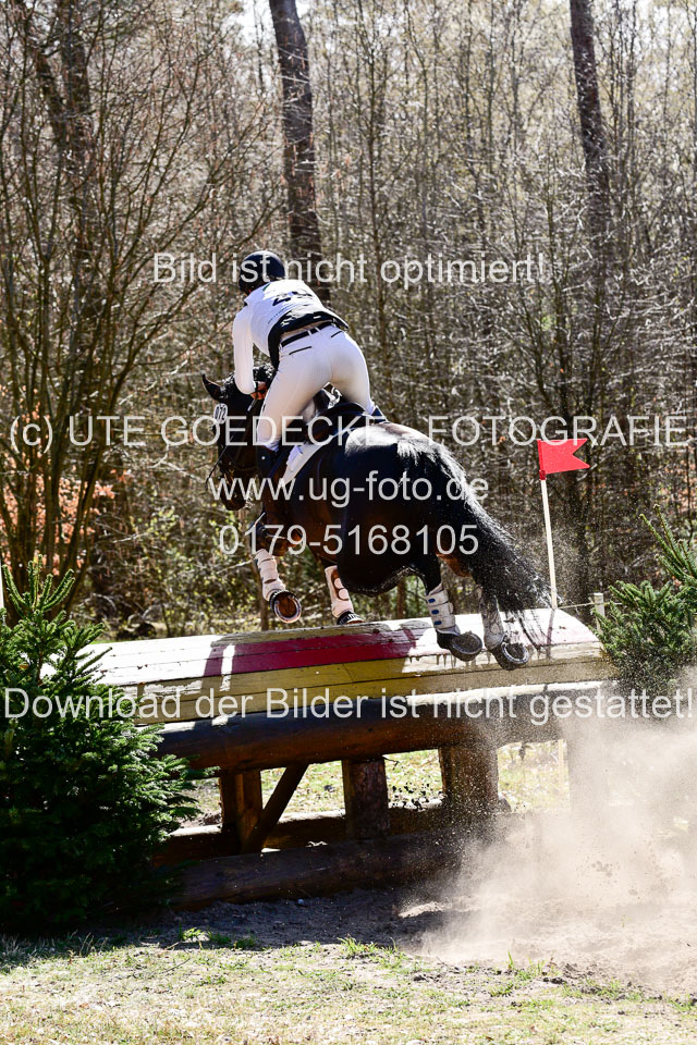 31-3-2019--Luhmühlen-CIC--_249.jpg