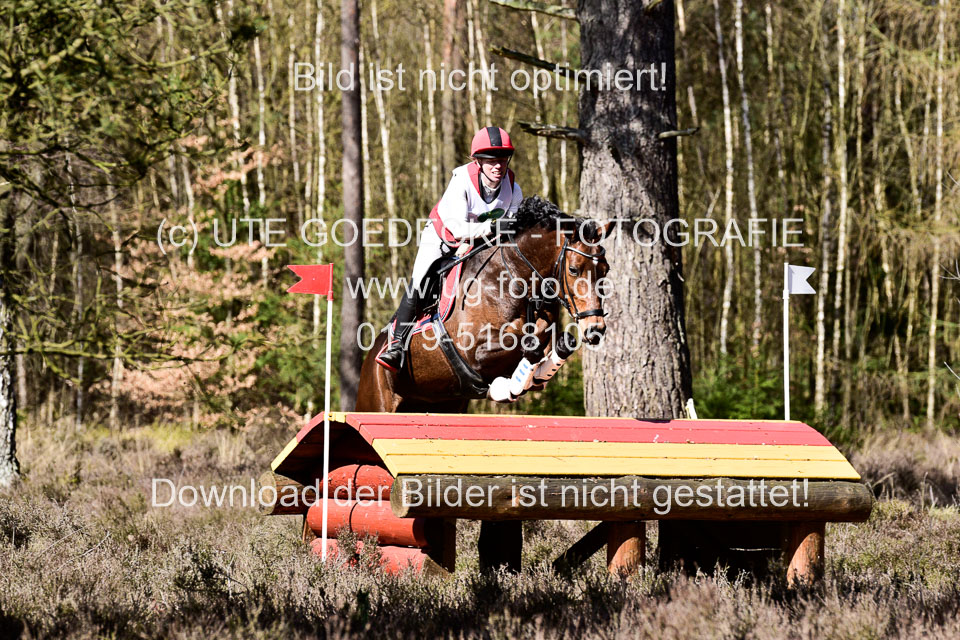 31-3-2019--Luhmühlen-CIC--_250.jpg