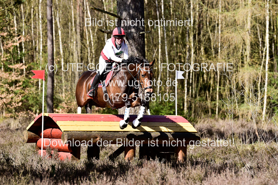 31-3-2019--Luhmühlen-CIC--_251.jpg