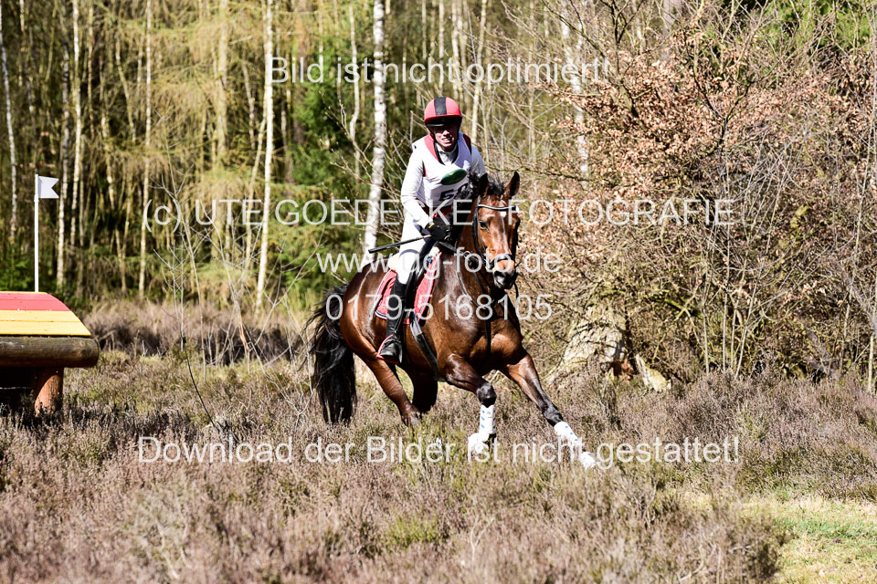 31-3-2019--Luhmühlen-CIC--_252.jpg