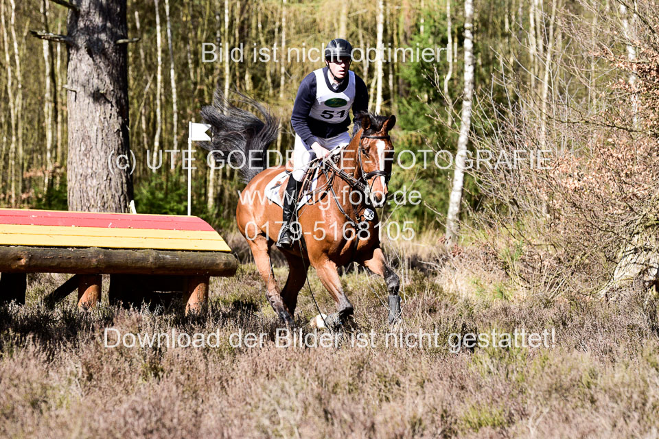 31-3-2019--Luhmühlen-CIC--_258.jpg