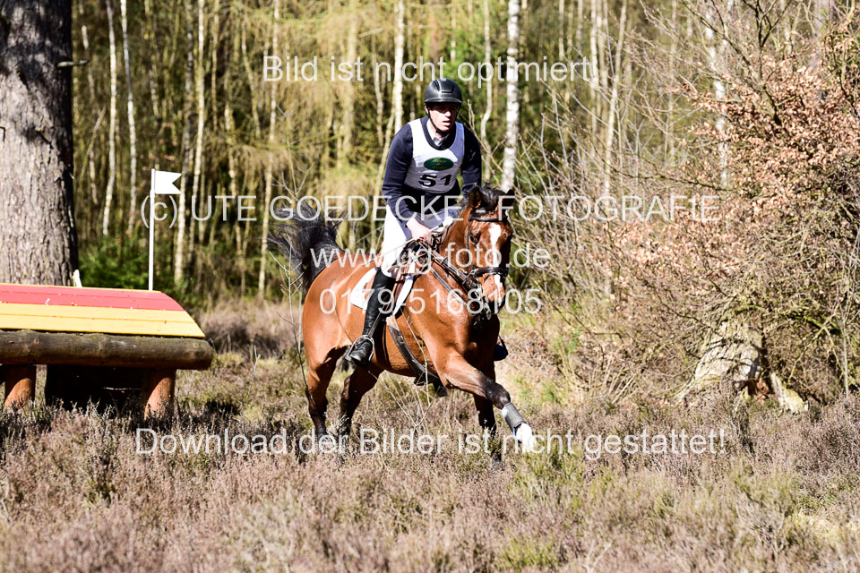 31-3-2019--Luhmühlen-CIC--_259.jpg