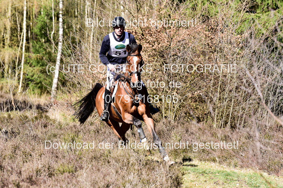 31-3-2019--Luhmühlen-CIC--_260.jpg