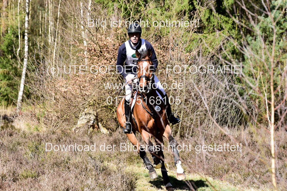 31-3-2019--Luhmühlen-CIC--_261.jpg