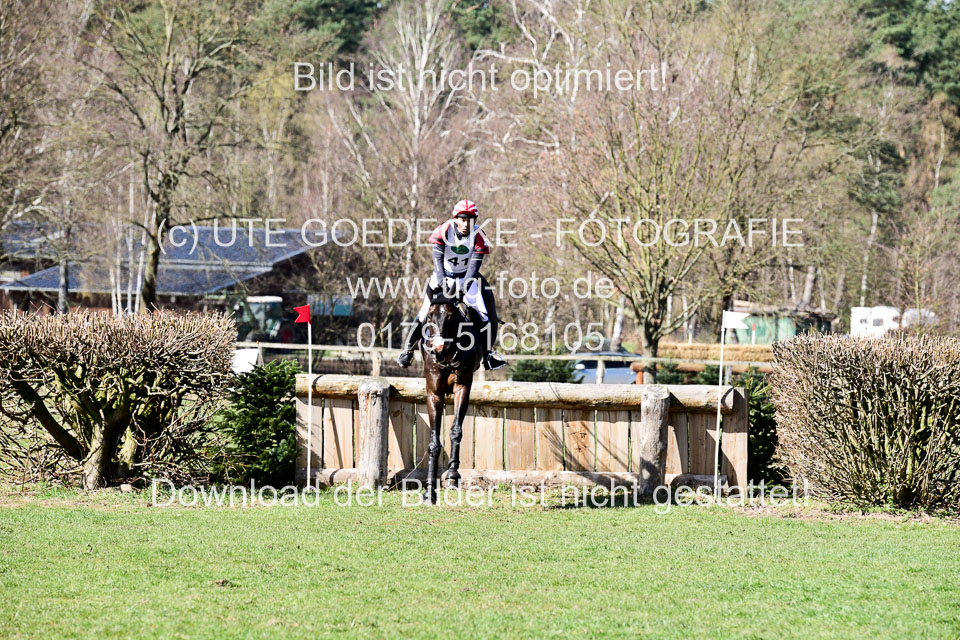 31-3-2019--Luhmühlen-CIC--_282.jpg